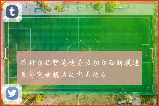 乔科尔称赞范德芬为切尔西新援速度与突破能力的完美结合
