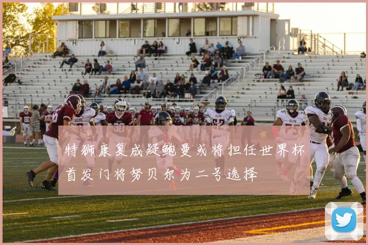 特狮康复成疑鲍曼或将担任世界杯首发门将努贝尔为二号选择