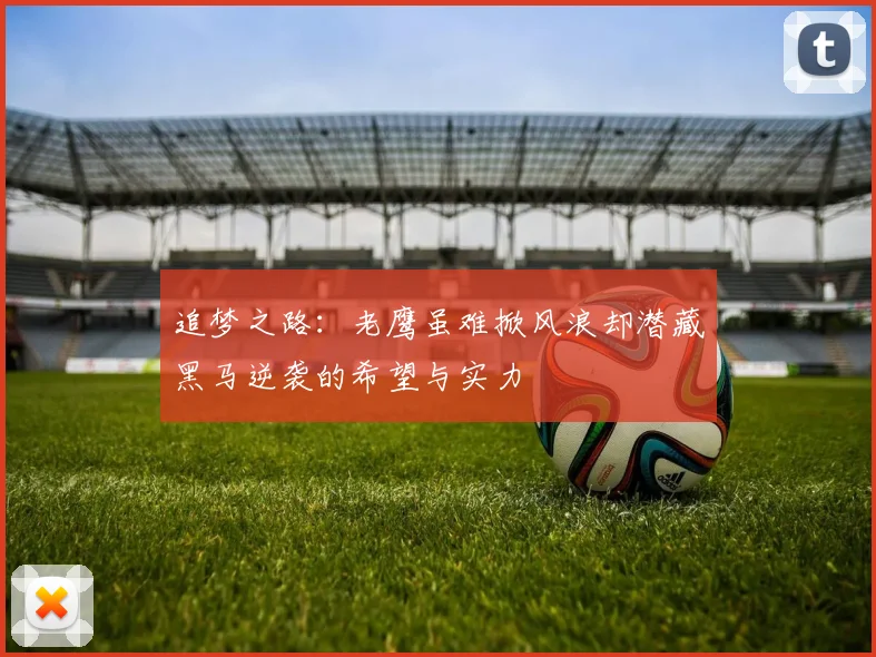 追梦之路：老鹰虽难掀风浪却潜藏黑马逆袭的希望与实力